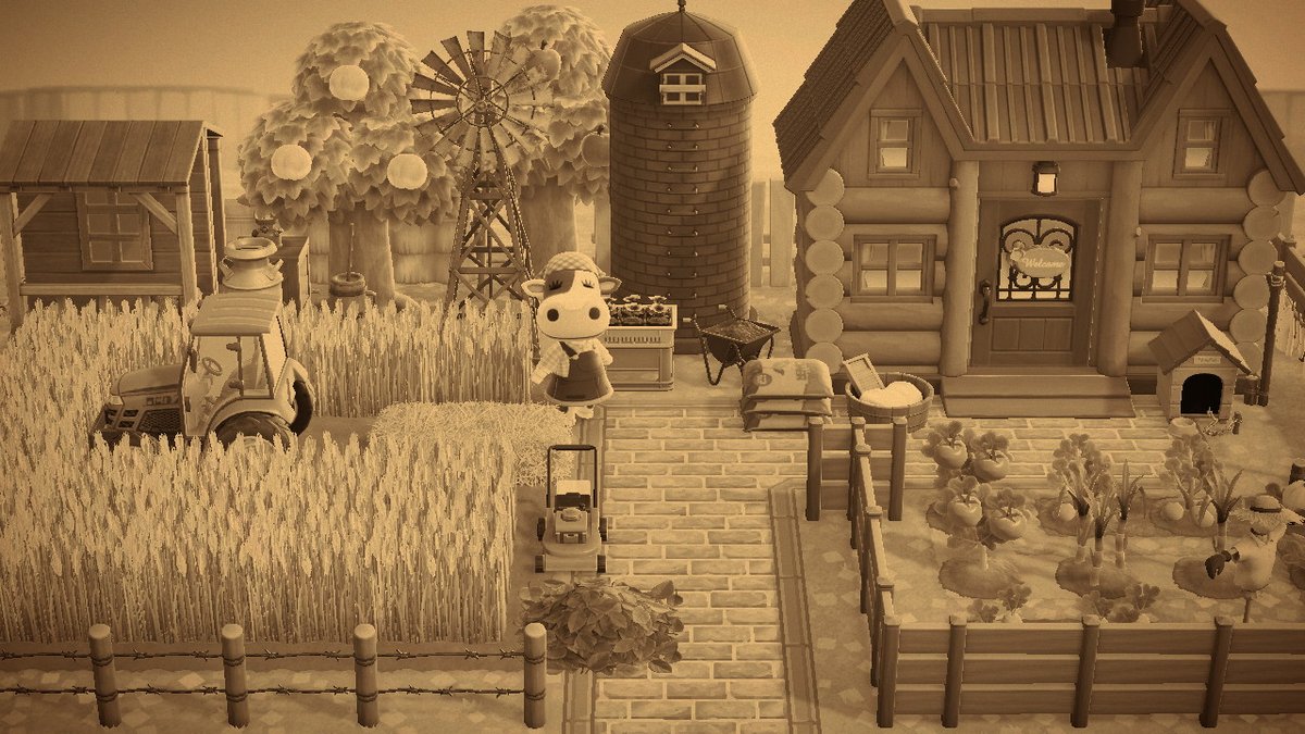 GrilledQuail tweet media