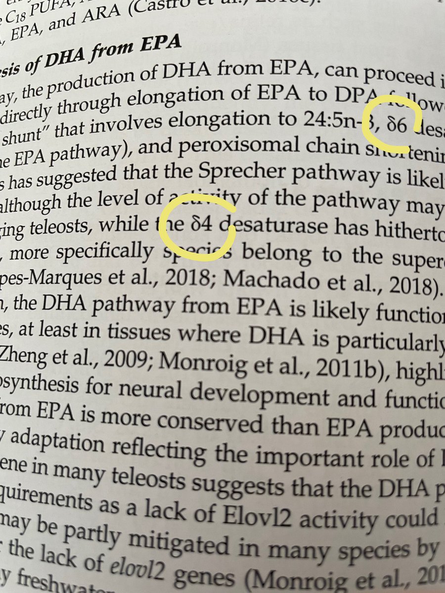 gioturchini's tweet photo. “Fish Nutrition”, aka “The Book!”…. If you have already received your copy, keep it well, as it will become more valuable with time, given the horrific mistake of the typesetter (delta lower case, chapter 5), will soon be rectified! #havefuninfishnutrition https://t.co/hHuPwbyD30