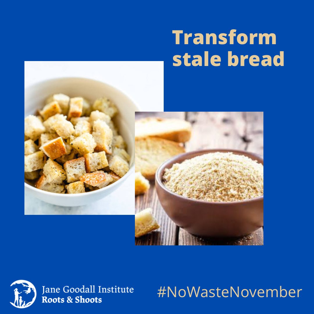 Stale bread? Grate the bread to create your own breadcrumbs to use on top of casseroles or make croutons for your salad.