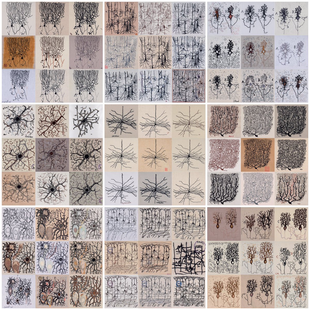 The Cajal Embroidery Project - the grand e-finale!  Check out the front cover of the Christmas issue of The Lancet Neurology featuring a beautiful montage of over 80 intricate Cajal panels, embroidered by volunteers all over the globe.
<a href="/lancetneurology/">LancetNeurology</a> #SciArt #SciCom #Embroidery