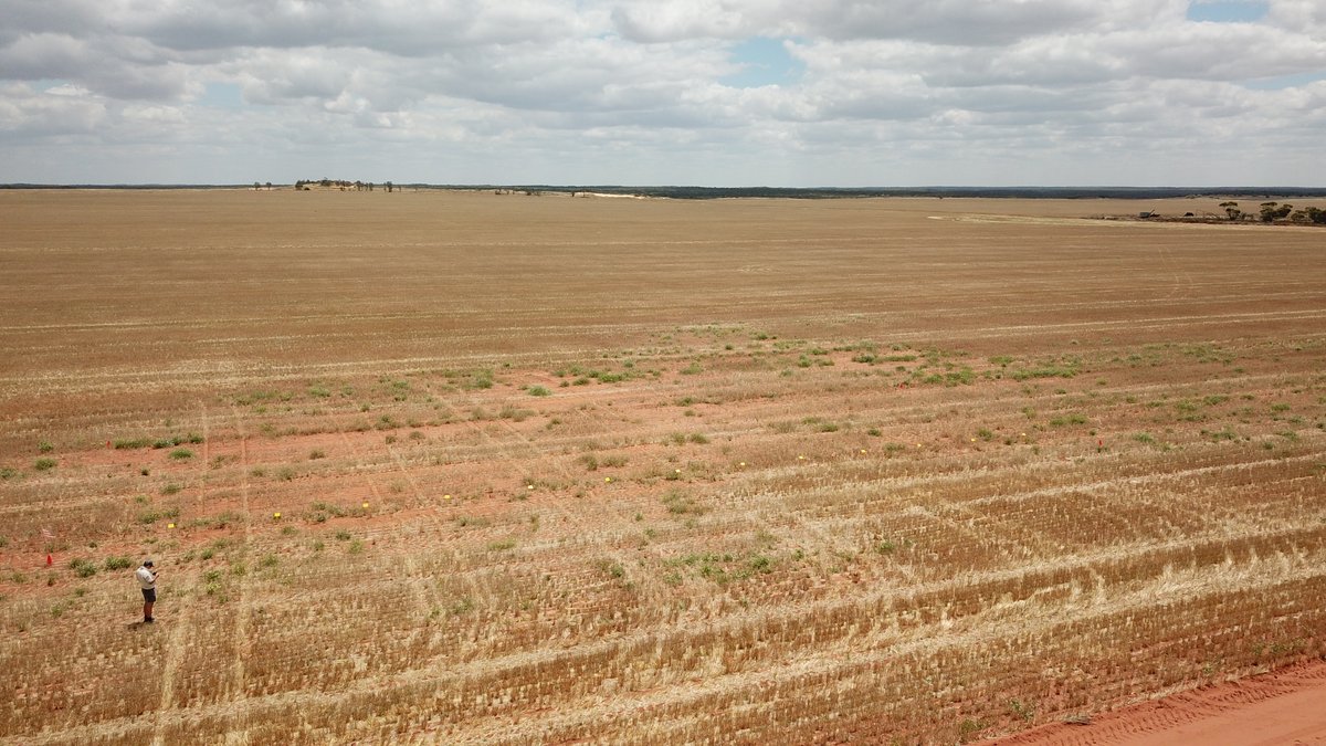 Nigel Routledge tweet media