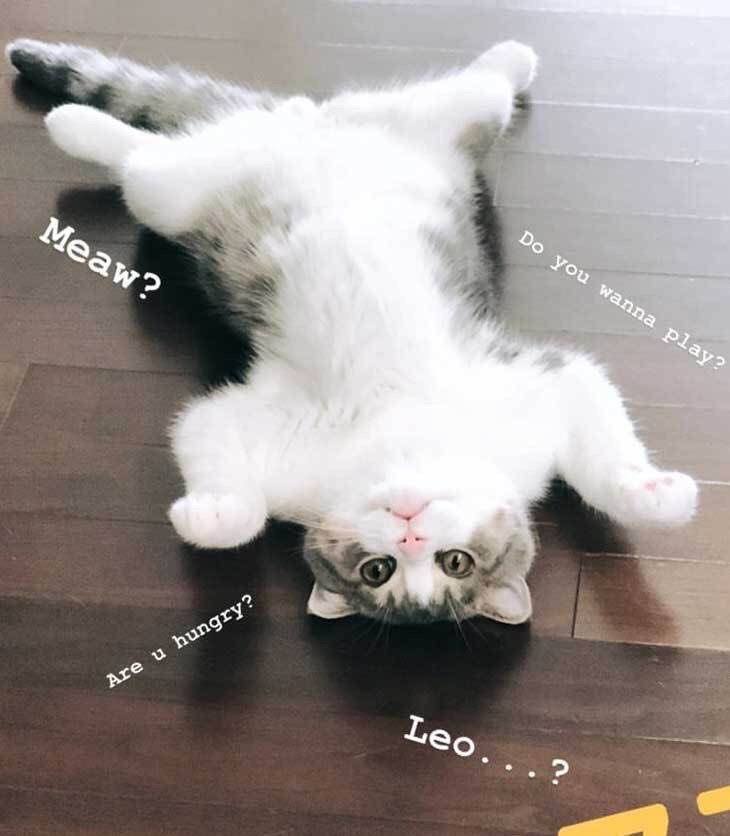 mrK21476166's tweet photo. โครงการลูก้าชนะ  มุมนี้ยังรอด ยังหล่อ😎 https://t.co/89gq3Ow4ZS