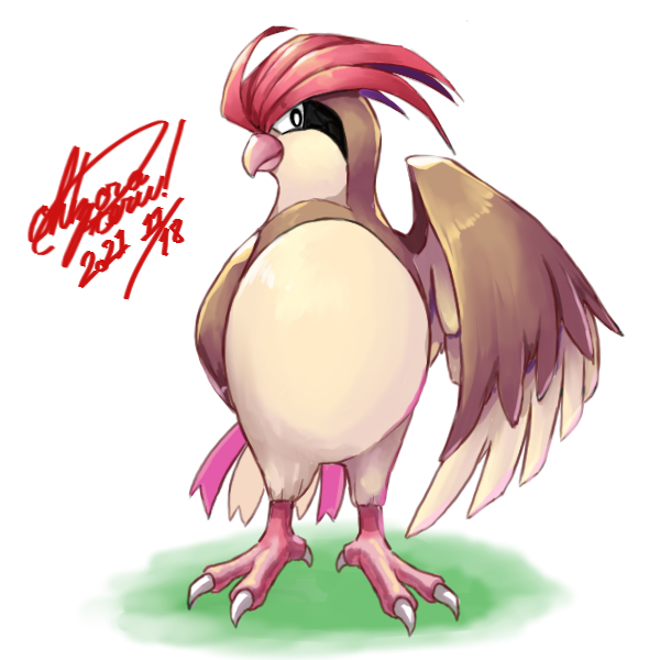 ポケモン 17日目 ピジョン 一日1ポケモン 大空照ｐ のイラスト
