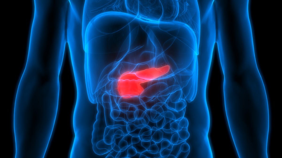 UTS_CST's tweet photo. Caring for someone in Australia who is diagnosed with #PancreaticCancer? Share the survey on pancreatic #EnzymeReplacement therapy to help find better treatments for all Australians with pancreatic cancer https://t.co/WYKtxk79HL #Malabsorption #Digestion https://t.co/xXuo8C3k2B