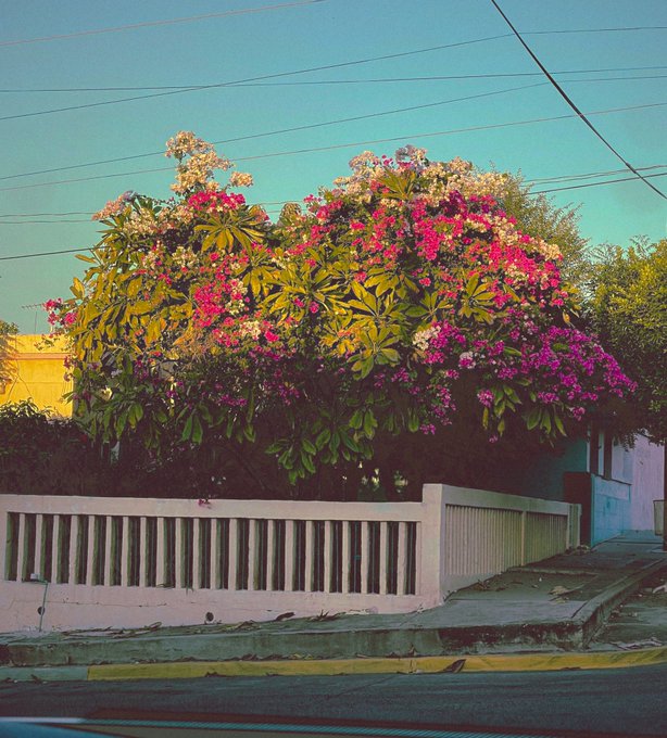 🤍amor🤍 https://t.co/CKqi6OY9Vd<a href="/tag/nuevafotodeperfil"class="tags"><span>#nuevafotodeperfil</span></a>