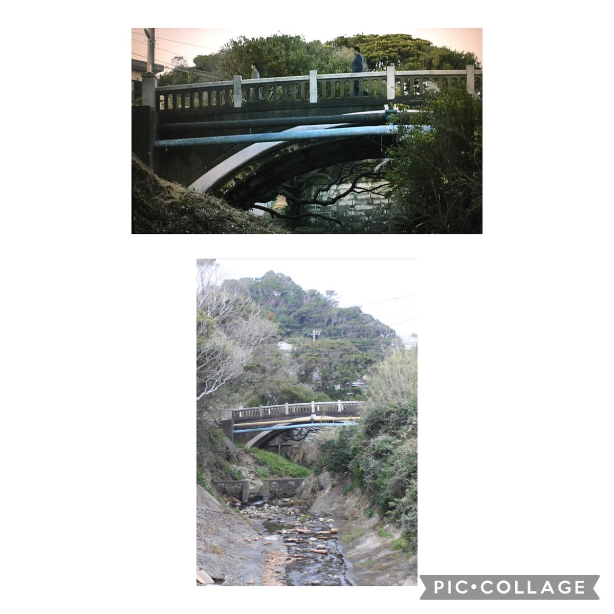 豊川悦司 赤い靴 最新情報まとめ みんなの評判 評価が見れる ナウティスモーション