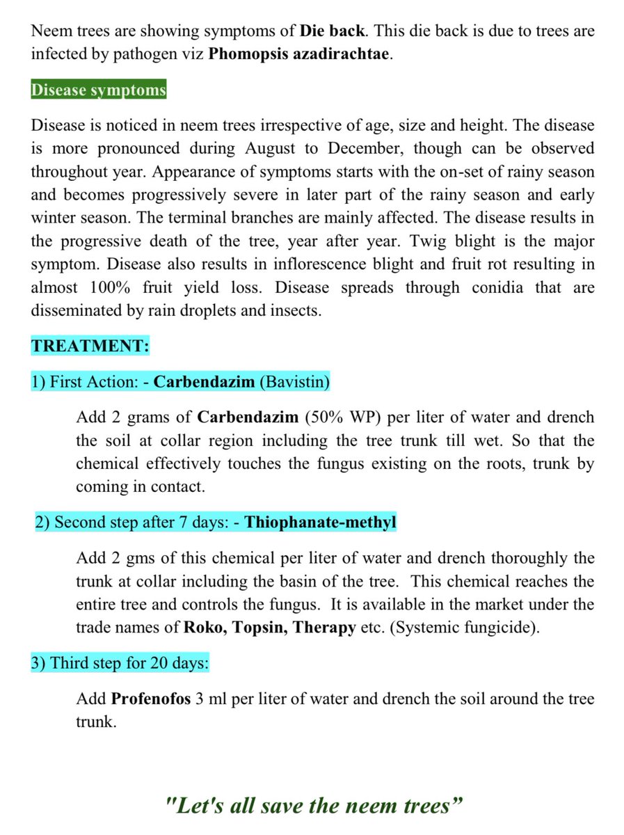 HiHyderabad's tweet photo. #SaveNeemTrees 🌳
Die Back Disease Treatment Procedure 👇
Thank You @acub_ghmc @GHMCOnline @HarithaHaram https://t.co/xXb3q0LZbx