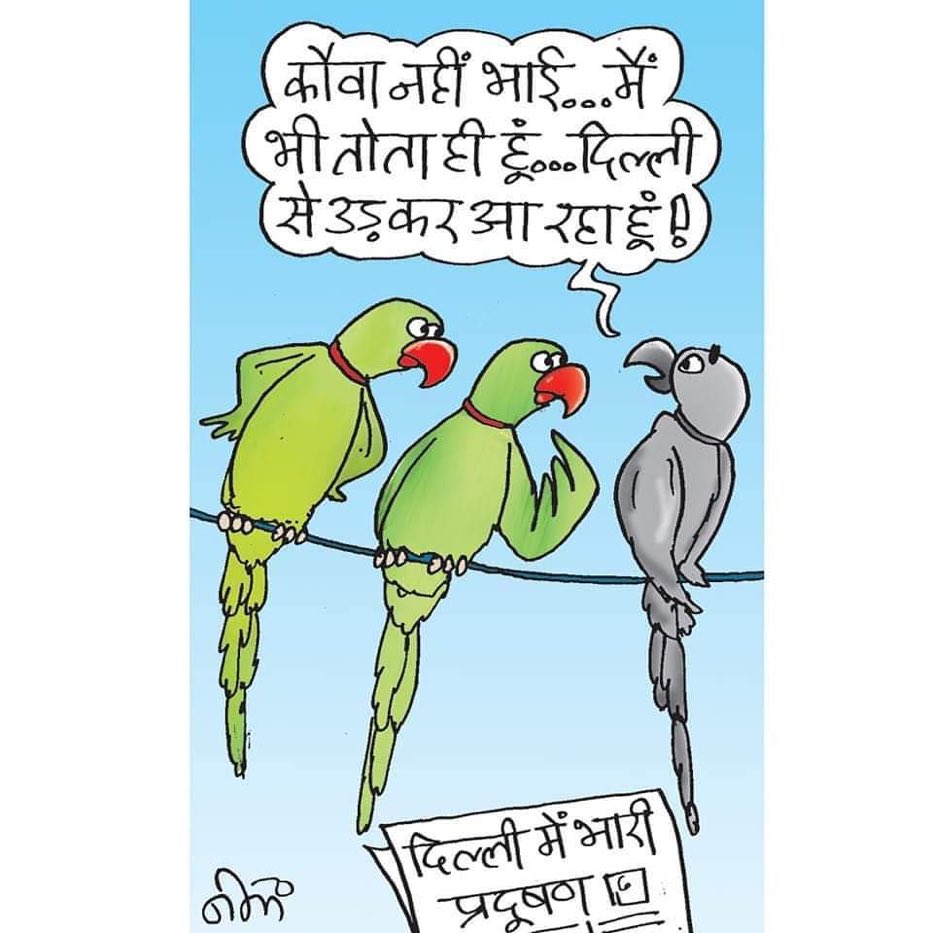 Drkuldeepbhargv's tweet photo. धूल भरी दिल्ली :::::::::¤
दिल्ली में हुआ प्रदूषण से बुरा हाल तोते तोते को नहीं पहचान पा रहा l
@HimanshuValmi13
#PollutedDelhi https://t.co/HjBxFKjdwM