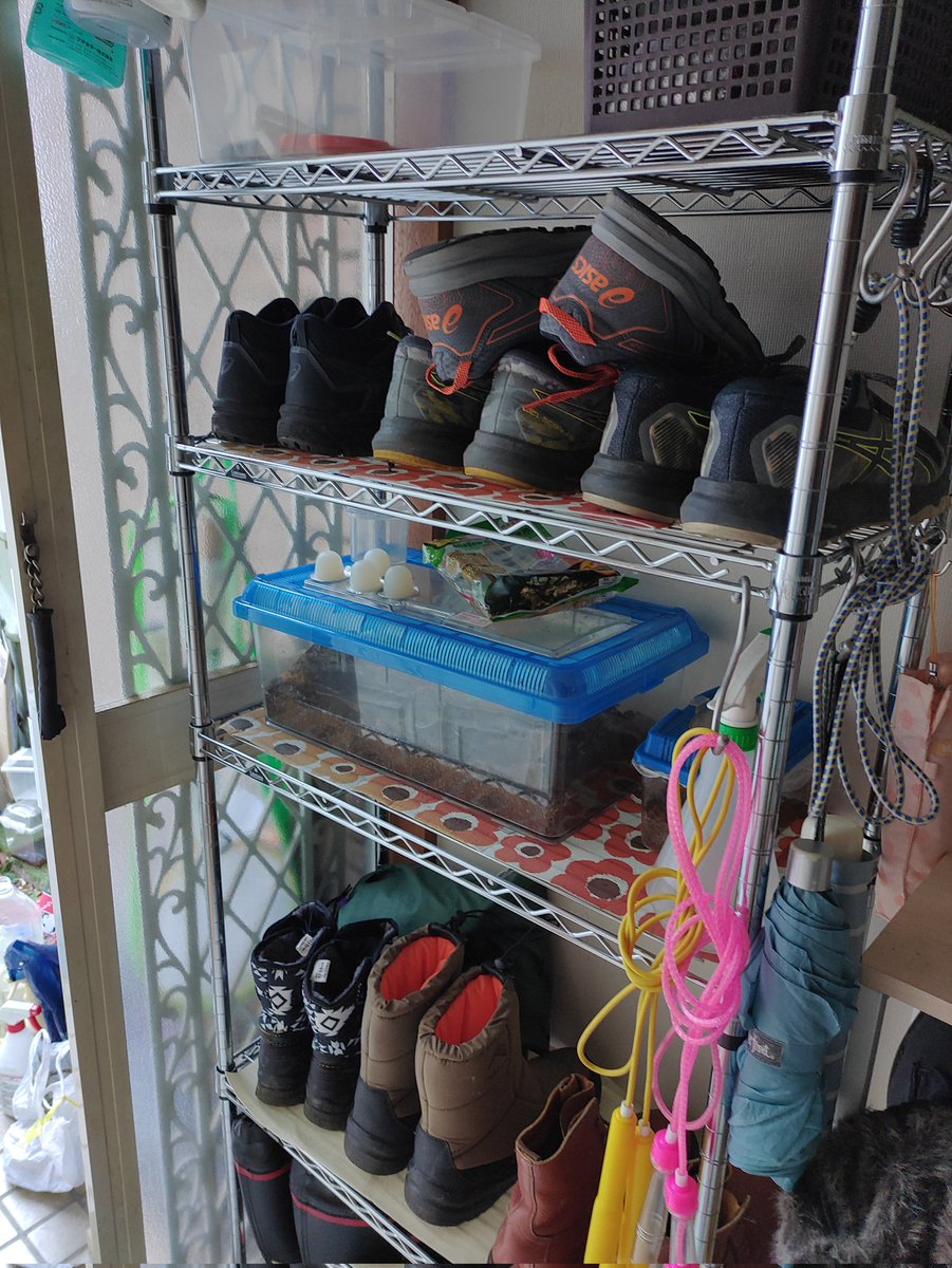 Declutteringdad's tweet photo. 断捨離その57。

玄関の棚を整理する。遊び道具はまとめて別の場所へ移動。靴やサンダルを数足、使わない靴クリーム、家庭菜園用品などで30Lゴミ袋が一杯になった。

お世話になりました。

#断捨離
#一日一捨
#捨て活 https://t.co/trOtPwjv3I