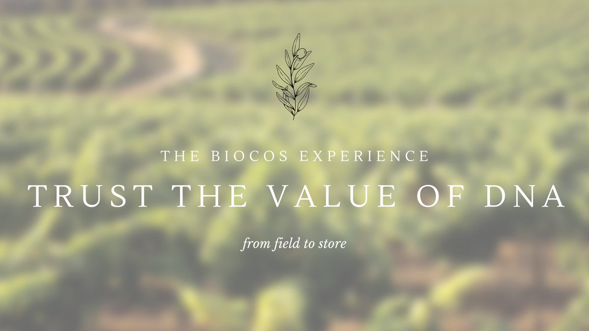 In <a href="/BioCoS_/">BioCoS</a>  we offer more than just a service!

#DNA #DNAtraceability #EVOO #Biomarkers #Biotech
