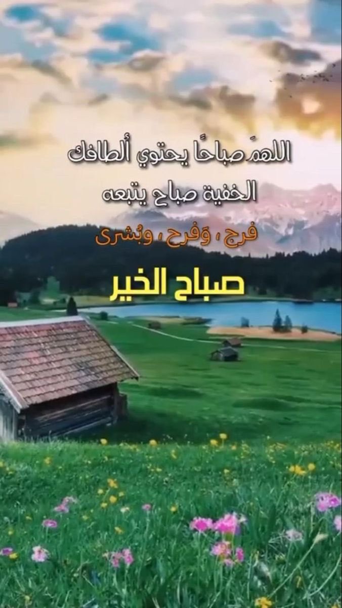 Aqeel Abdulqader tweet media