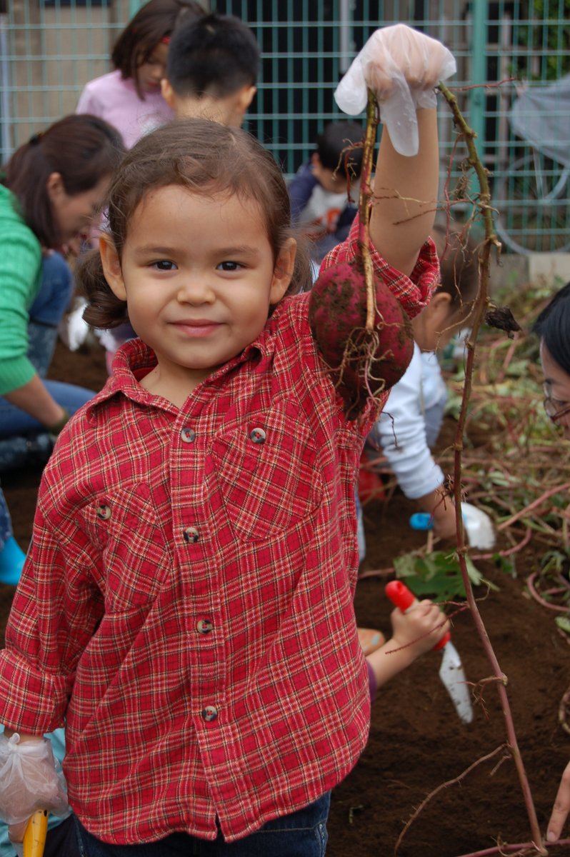 Happy early Thanksgiving from ASIJ! As you begin to plan your sweet potato pies and casseroles for next week, here’s some TBT inspiration: An Elementary School sweet potato dig photo from '07!

#engageleadlearn

#asij #tbt #throwback #throwbackthursday #harvest #farm #garden
