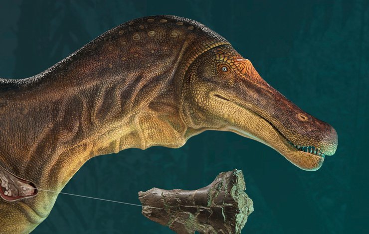 Our <a href="/Terra_FCT_NOVA/">Ciências da Terra FCT/NOVA</a> Masters in Paleontology student, Victor Carvalho , won the Lanzendorf International Art Award - National Geographic. The awarded work is "Baryonyx revisited", a joint work with researchers from FCT NOVA, <a href="/omateus/">Mateus Gomes</a> and <a href="/DarioEstraviz/">Darío Estraviz López</a>. Wonderful!! 👏👏🎉🎉