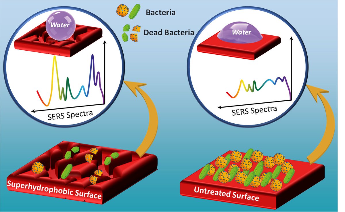 Multifunctional superhydrophobic coatings with bactericidal and SERS activity

Our paper has been published in Chemical Engineering Journal <a href="/Chem_Eng_J/">Chemical Engineering Journal</a> 

Hard work by Furkan Sahin, Nusret Celik (<a href="/nusret0807/">Nusret Çelik</a>) and Dr. Mahmut Ruzi (<a href="/MahmutRuzi/">Mahmut Ruzi</a>)
sciencedirect.com/science/articl…