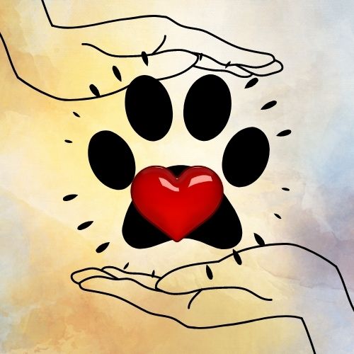 CJXuan1's tweet photo. Humans are responsible for threatening animals lives. So, we humans are responsible to make it right again. 
YouTube Channel : https://t.co/vw7yaNA6MT
Name : Voice For Fur https://t.co/OBBULpI9Pc