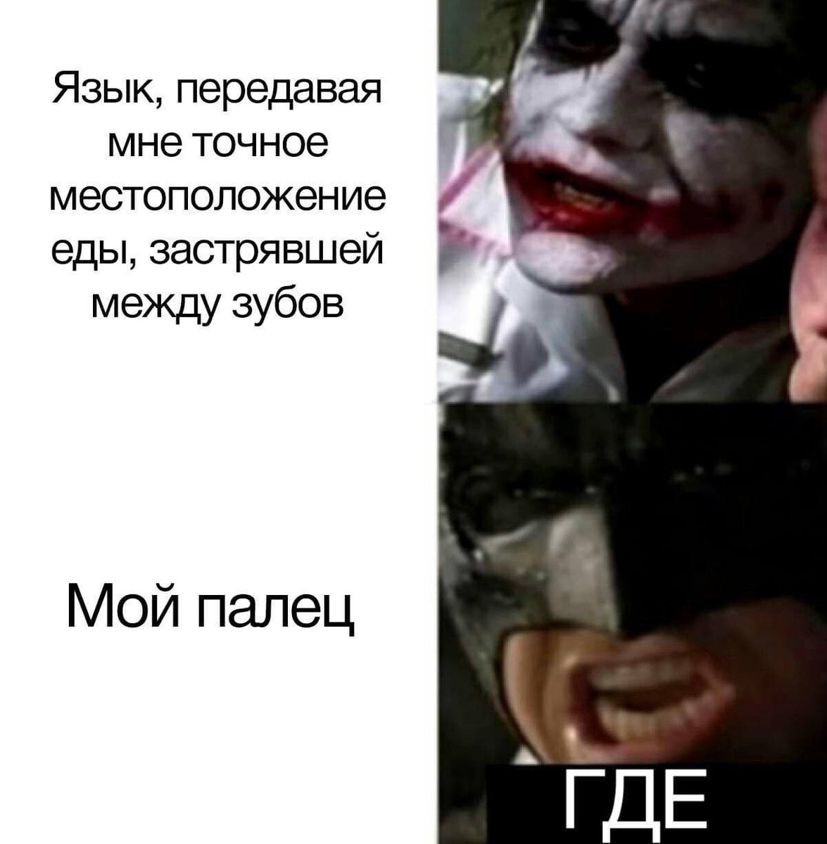Nickolas_Grin's tweet photo. https://t.co/xvSWTmR4p6