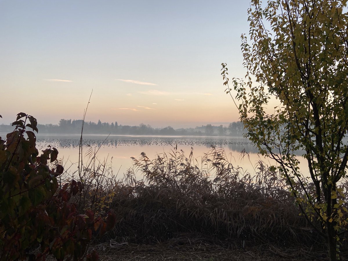 deboraorrico's tweet photo. #earlymorningrun gives me always great sensations #ilovemyjob #nofilter #alwaysthanks https://t.co/4qto309lL2