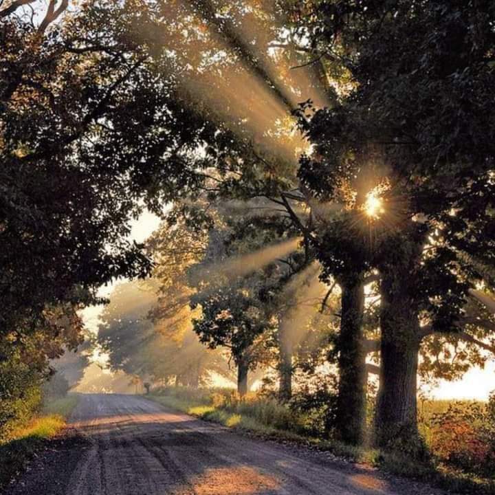 "وأشرقت شمس الخميس 
اللهم أملأنا بسكون النفس 
وطمأنينة القلب وراحة البال وجميل الستر وكمال العافية وبرد العفو .. صباح الخير والسعادة"♥💛