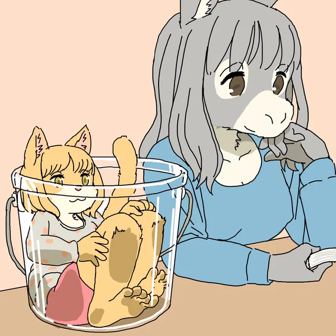 バケツ猫 
