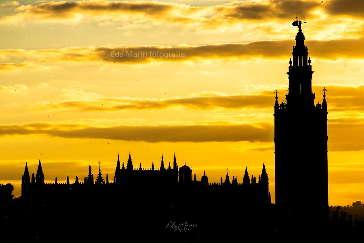 Otra foto preparada con mimo, trabajo y dedicación. Desde 40m, a la hora y día adecuados. Con un arnés y un casco de seguridad para buscar el contraluz del sueño sevillano. 
Si os gustan retuitea y sigue la cuenta. Ayuda a crecer. 
Gracias 👏 #Sevilla