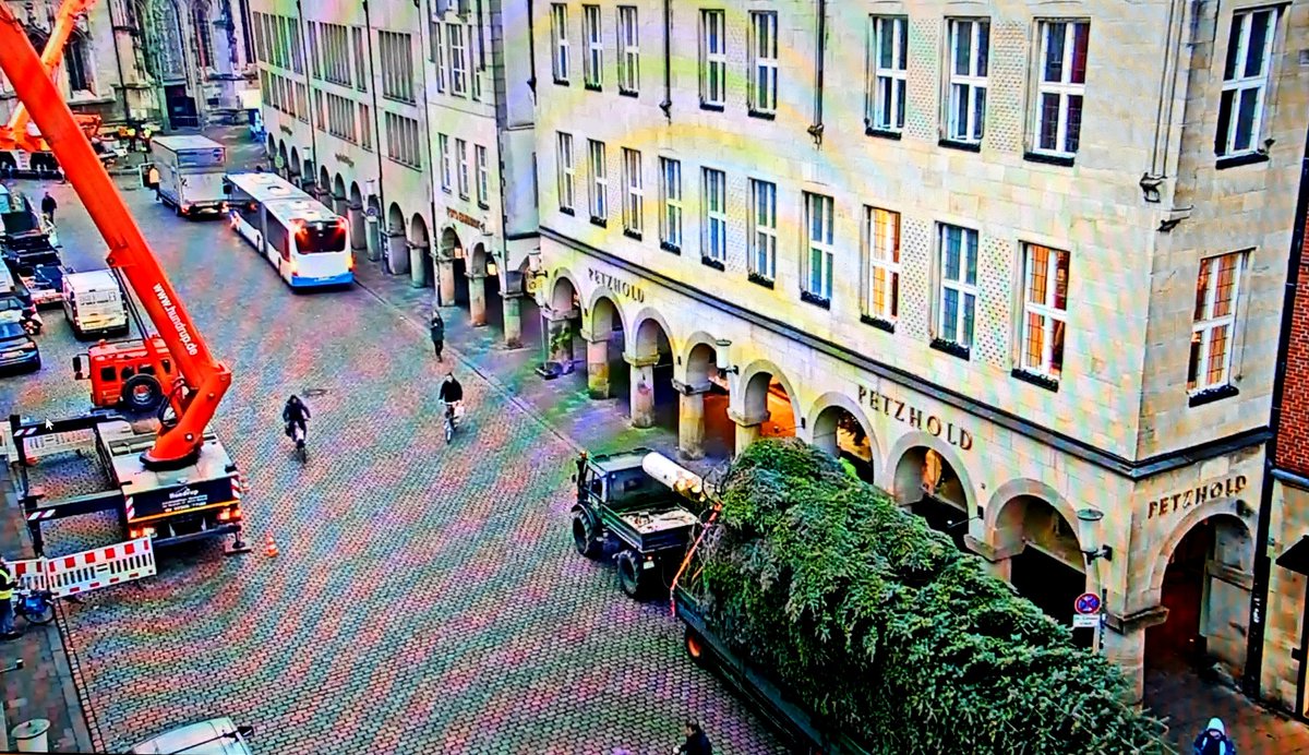 pellomeino's tweet photo. Der Weihnachtsbaum für die #Lambertikirche #Münster wird angeliefert!
Quelle: Webcam #Prinzipalmarkt https://t.co/qmxYCLF5Gi