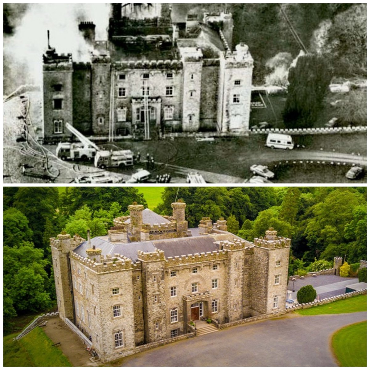 David Hicks tweet media