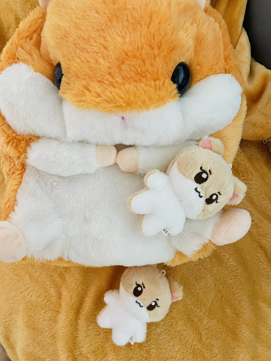 #혬토리_너무귀여운거아니냐구
말랑말랑. 
생각했던 것 보다도 더더더 귀여워용🤤
실물깡패 혬토리랑 행복하게 살게요❤️