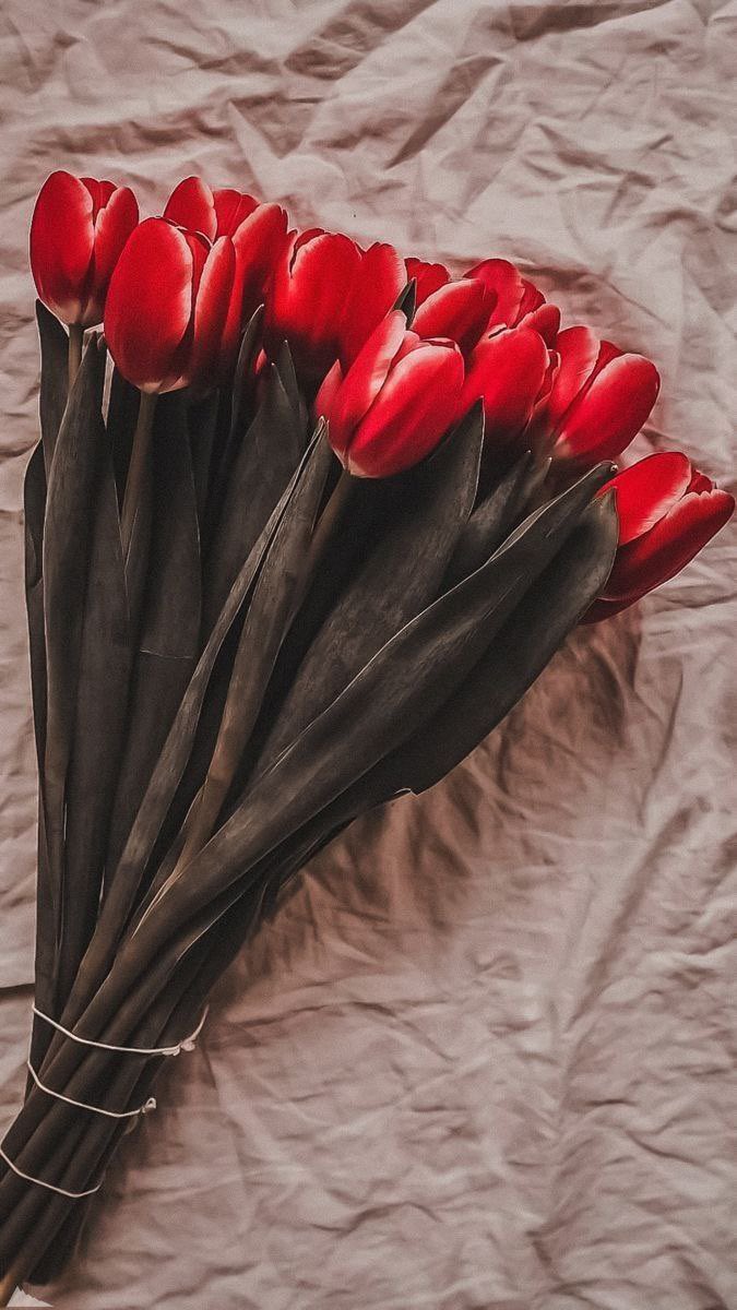 "Beklemesini bilenin her şey ayağına gelir."