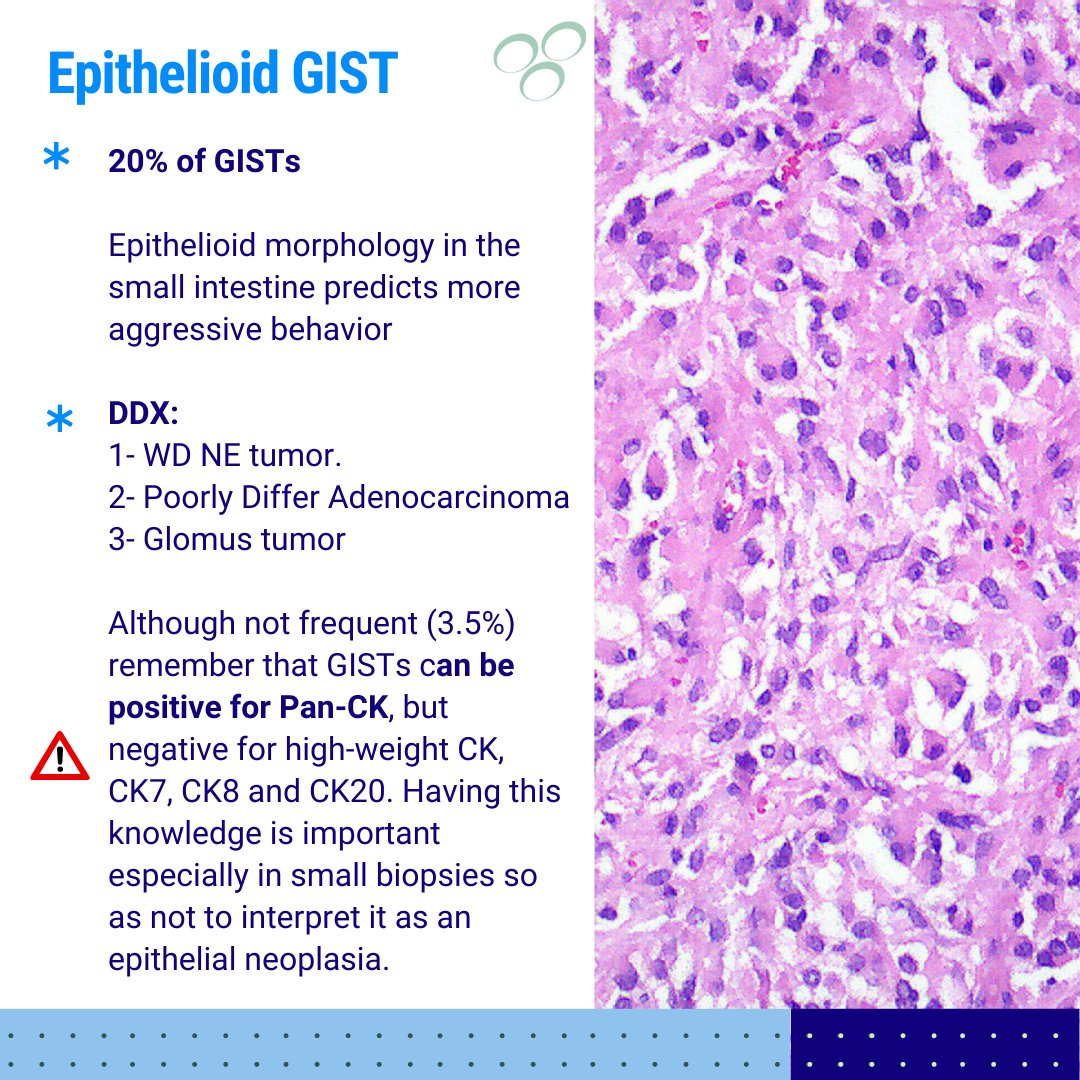 GeronimoJrLapac's tweet photo. #GIpath #pathology https://t.co/U6XCIxFfQA