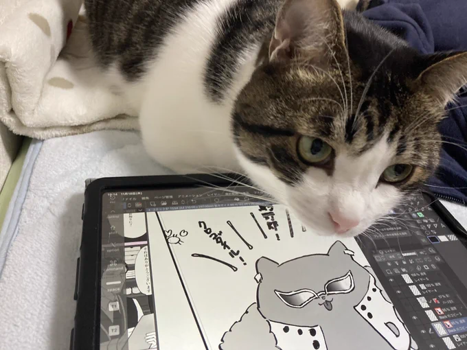 ああー!お客様!困りますお客様!
iPadの下に手を置かないでください! 
