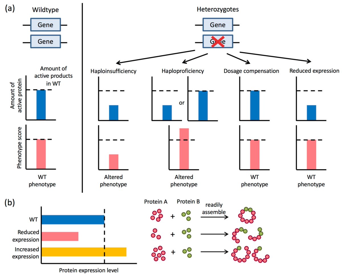 JoF_MDPI's tweet photo. A review entitled “The Impact of #Gene Dosage and #Heterozygosity on the Diploid Pathobiont #Candida_Albicans” from Richard J. Bennett et al.
View full text at https://t.co/7qmIKbSTD3 https://t.co/R9LWODP7mN