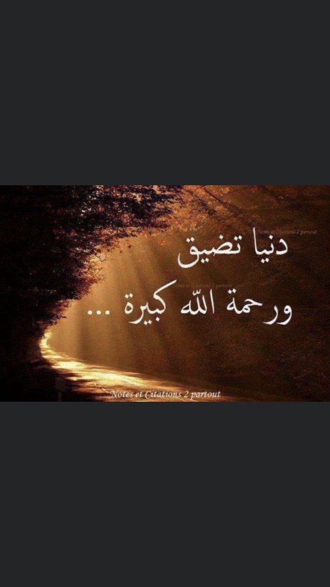 صالح محمد ال حمدان tweet media