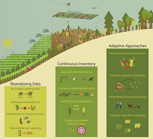 A new and exciting article proposing a holistic view of silviculture revolving around 3 key themes: OBSERVE, ANTICIPATE and ADAPT to broaden our conception of silviculture as a scientific discipline.
academic.oup.com/forestry/advan…