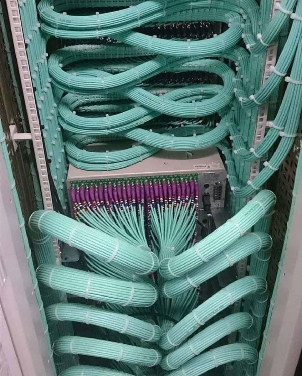 fiat4x4_gr's tweet photo. Perfection💻
#lancables #network #cat6 #rj45 https://t.co/A2bxhiPs85