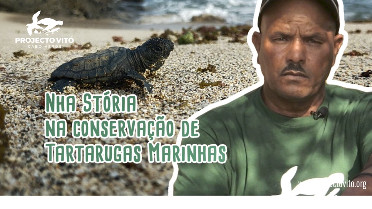 projecto_vito's tweet image. The #nestingbeach #patrollers make a huge contribution to #seaturtle #conservation. Their stories inspire us a lot and drive us to continue in this mission. Get to know the history on this link👇
youtu.be/2enTKLv6t4E