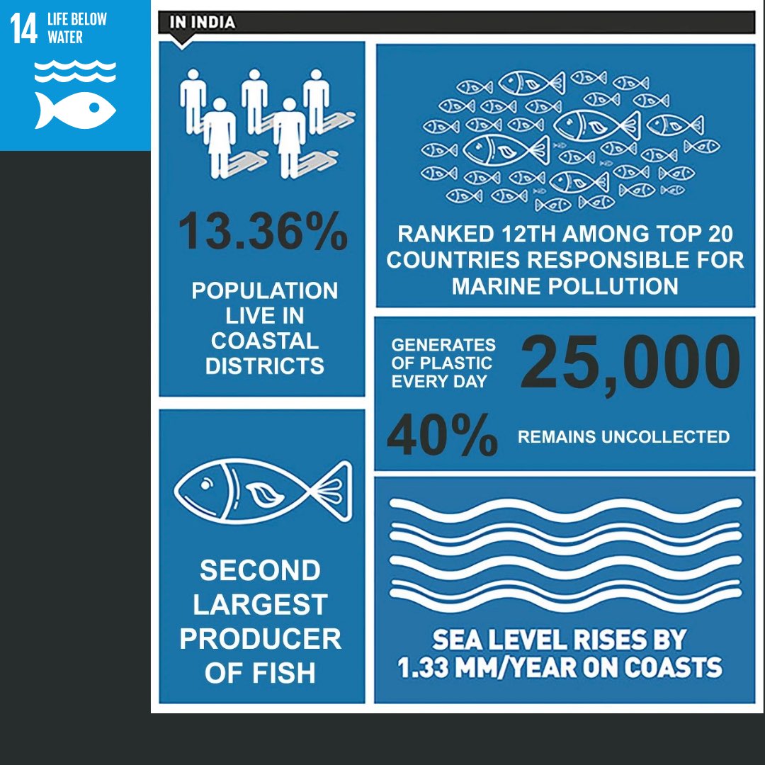 dgf_india's tweet photo. Our rainwater, drinking water, weather, climate, coastlines, food, and even the oxygen we breathe, are all ultimately provided by the sea. We all have a role to play in preventing marine pollution of all kinds.
#sdg14 #india #globalgoals #facts #support #oceanhealth #oceans #seas https://t.co/tIE2A0i5hz