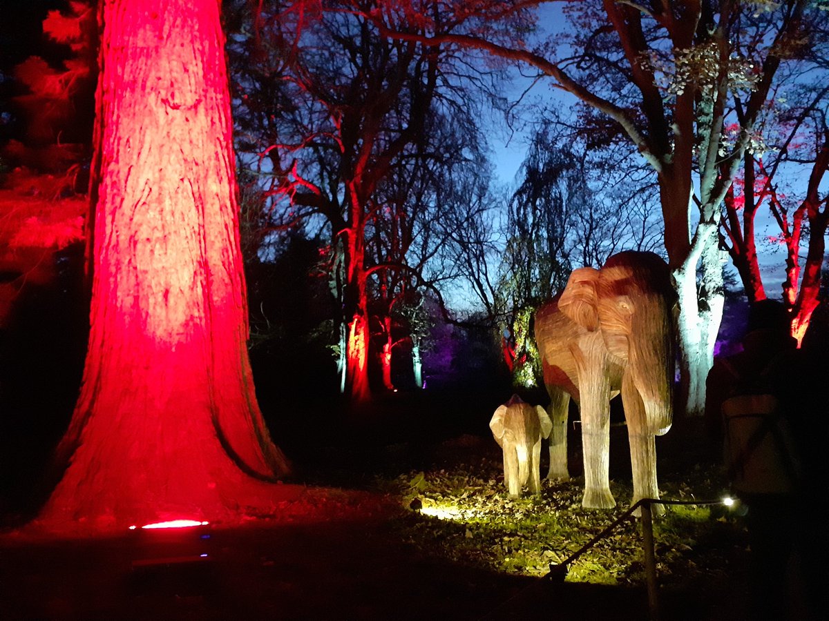 HJBpresenter's tweet photo. The best Christmas lights I have ever seen @WaddesdonManor, and I have visited for many years. Will be talking about this on the Afternoon Show @redkiteonair on Tuesday &amp; Thursday next week. https://t.co/uOvR8Ugi6F