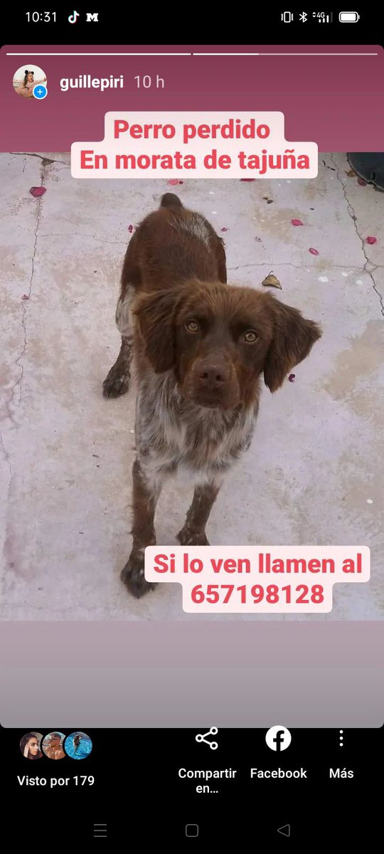Fundación el Arca de Noé tweet media
