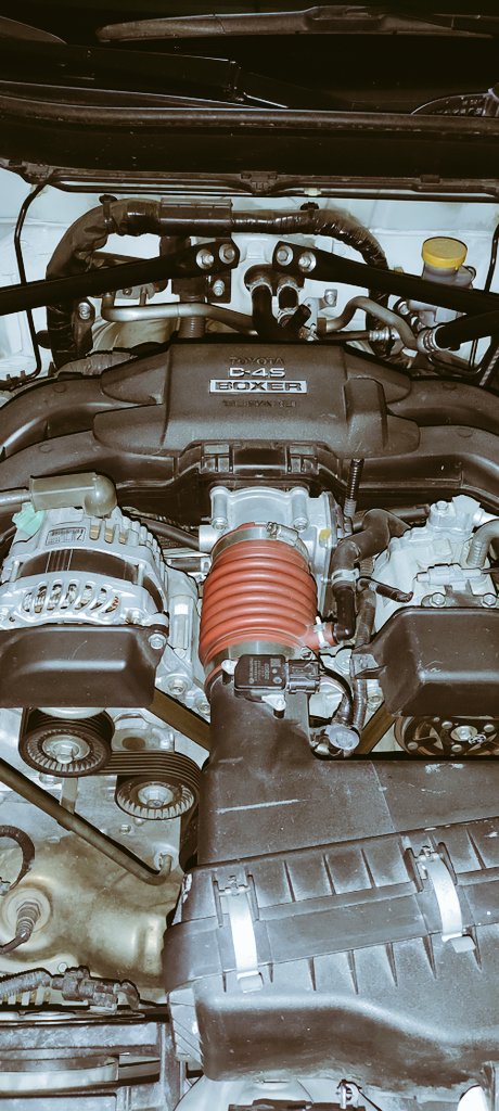 JoaquinSantizo's tweet image. Aguas que muerde 🐕 #BoxerPower