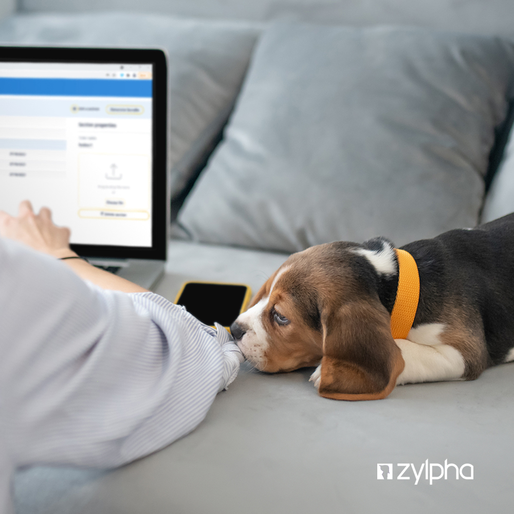 Got a last minute change to a bundle but not in the office? No problem! With Zylpha Bundling Online you can create court compliant bundles in minutes 24/7 for FREE! Get started today, there's nothing to pay. bit.ly/3HyekcT