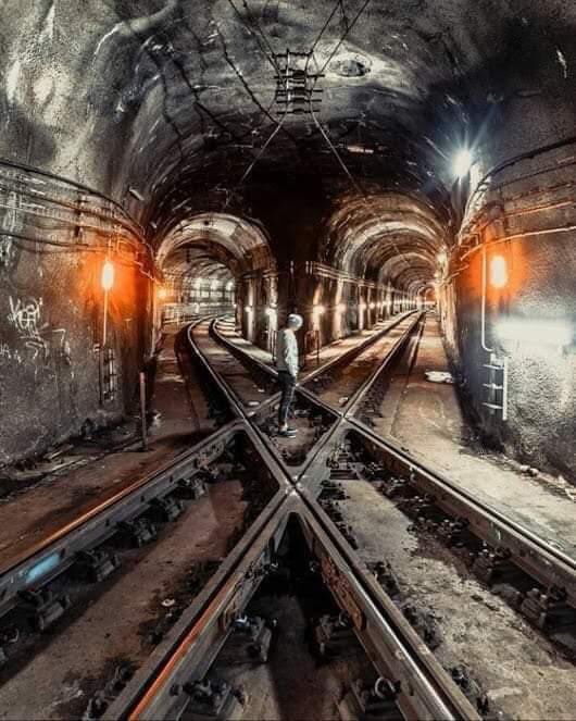 Elena49643187's tweet photo. You meet your destiny on the road you take to avoid it. 
Carl Jung https://t.co/sn6rRyTiNd