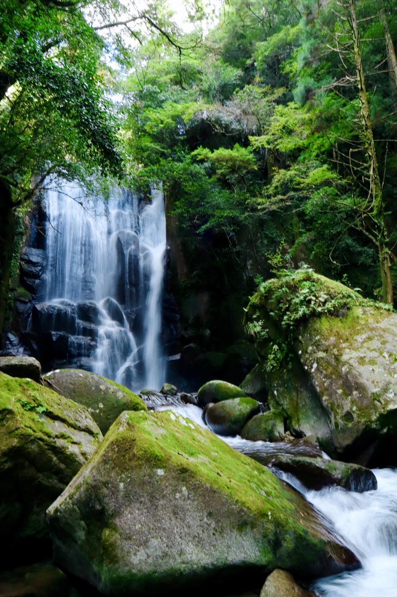 ユタカ交通 株 旅行事業部 公式 桑ノ木の滝 和歌山の観光スポットをご紹介 滝の周囲に桑の木がたくさん生えていた事から 桑ノ木の滝 と名付けられた 落差21mの美しい滝です 晴れた日には虹を見ることもできるそうですよ 和歌山 新宮市