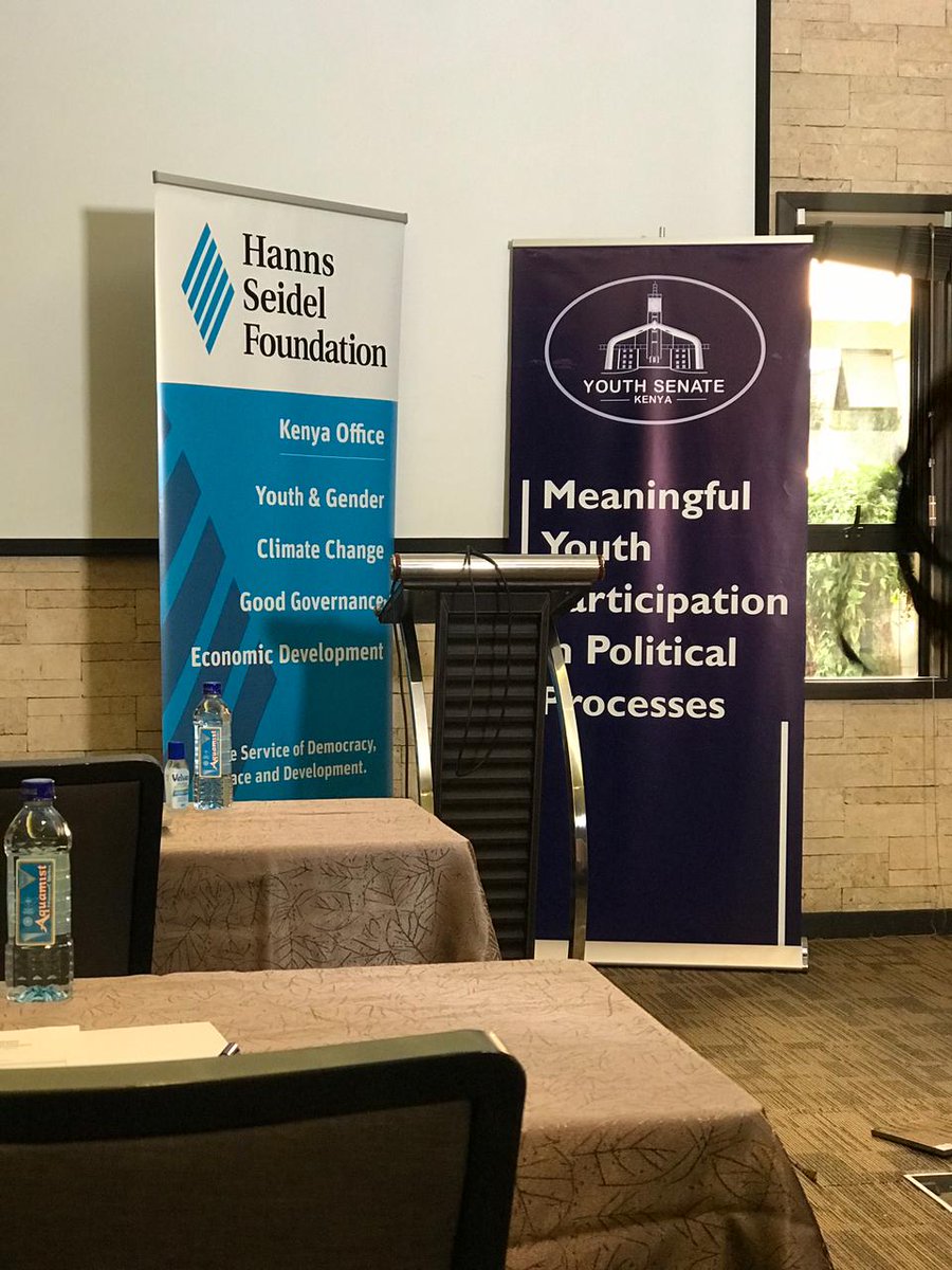 ShemKnight's tweet photo. Meaningful youth Participation in political processes #youthfulparties #notoviasnation #knightmode #shemknight #politics https://t.co/o6DGjdeMHP