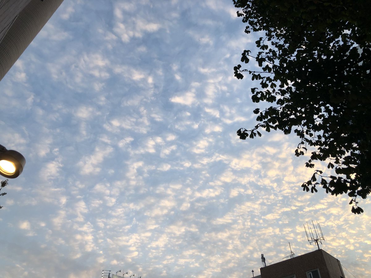 m803clear's tweet photo. 秋の空に鱗雲👀
#音羽通り界隈街歩き
#otowa_neighborhood
お得な情報満載！
#音羽　#関口　＃目白台　#大塚
エンジョイ!近所クーポン
11/20(土)〜12/20(月)
更に抽選で60名様にオリジナル「マルシェバッグ」プレゼント🎁 https://t.co/BIQedhs6Ui