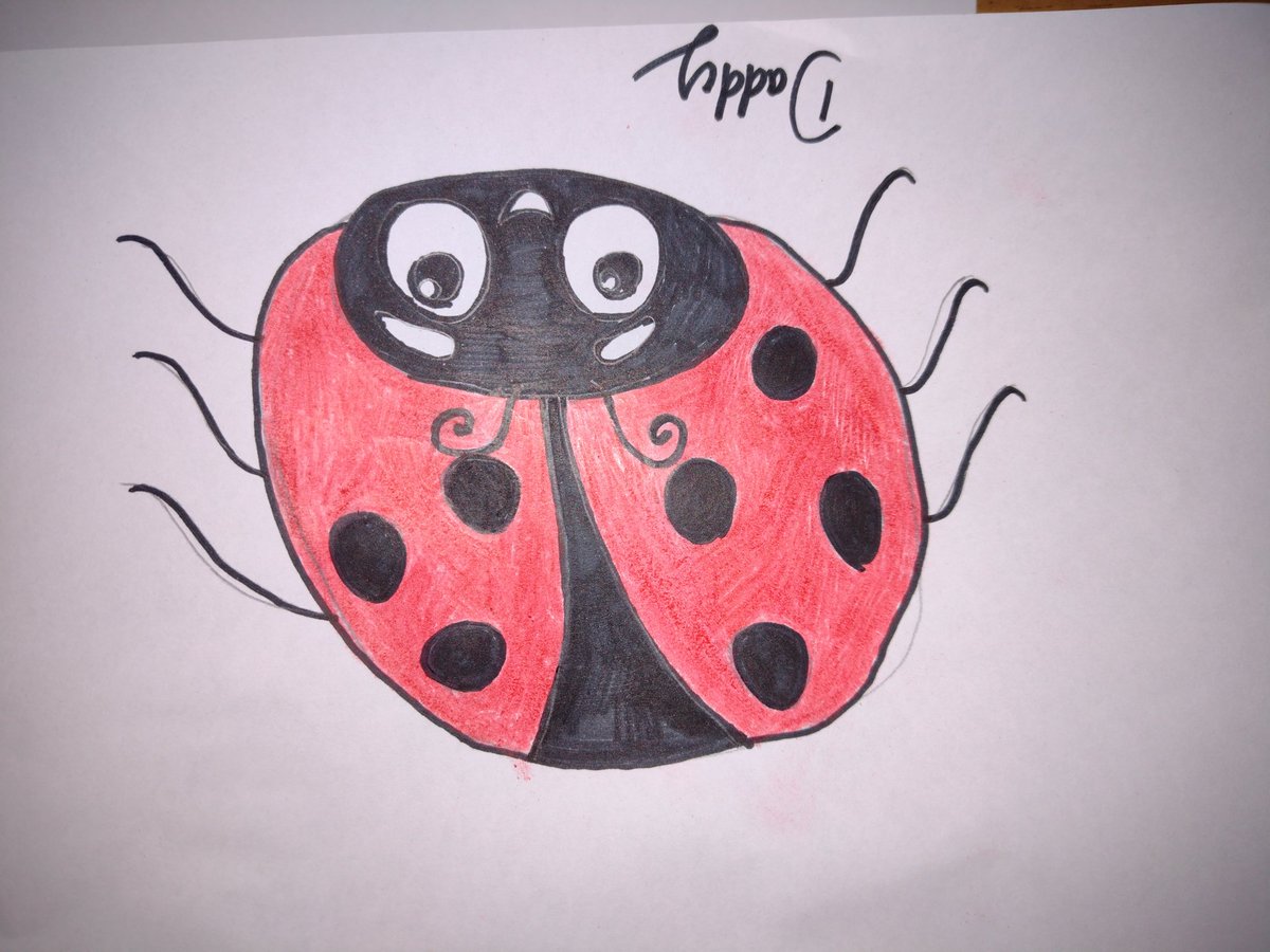 jas1984's tweet photo. @RobBiddulph #DrawWithRob by Millie Aged 5 and an effort from Daddy. https://t.co/TdQ8mfjwEj