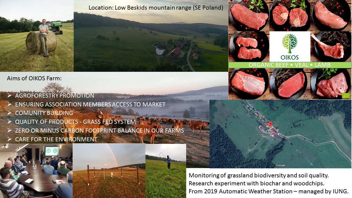 foodlevers's tweet photo. Today we would like to show you Polish #organic farm. #OIKOS farm is the regional hub, gathering farmers focusing on #beef production and bulding efficient and resilient #supply chain. OIKOS farm is located in Lower Beskids mountains and covers approximately 200 ha of pastures. https://t.co/vTOkBjs2vO