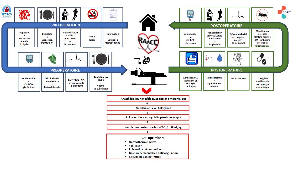 SFAR_ORG's tweet photo. Retrouver les dernières RFE de la SFAR et SFCTCV sur la "réhabilitation améliorée après chirurgie cardiaque"
- préhabilitation
-peropératoire
-réhabilitation
pour un parcours optimisé des patients
https://t.co/k7rJEDVJll
#comiterea
@cnear_fr @AJAnesthRea https://t.co/n0YWIxClMz