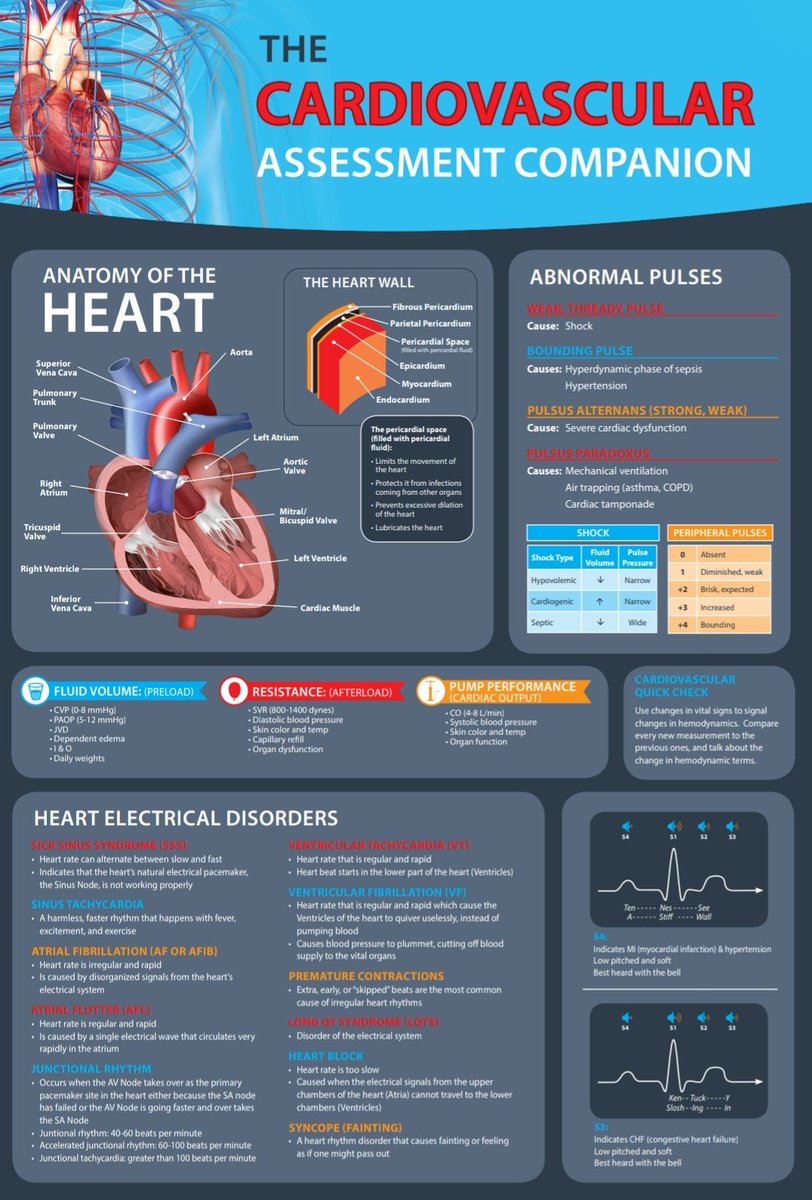 لا يفوتكم يا جماعة شوفوا هذه المعلومات المرتبه بحط لكم رابط درايف هنا 💜💜👇🏻
drive.google.com/folderview?id=… pic.x.com/PsnsBPseRJ