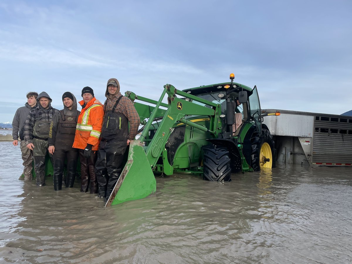 Spent the day with wonderful family and heroic friends rescuing our 100 young stock. Milk cows and baby calves left yest. Fed chickens and cats. Our awesome neighbour driving JD had to guess at roads and driveways to deliver to waiting trailers down the road. #BCFlood