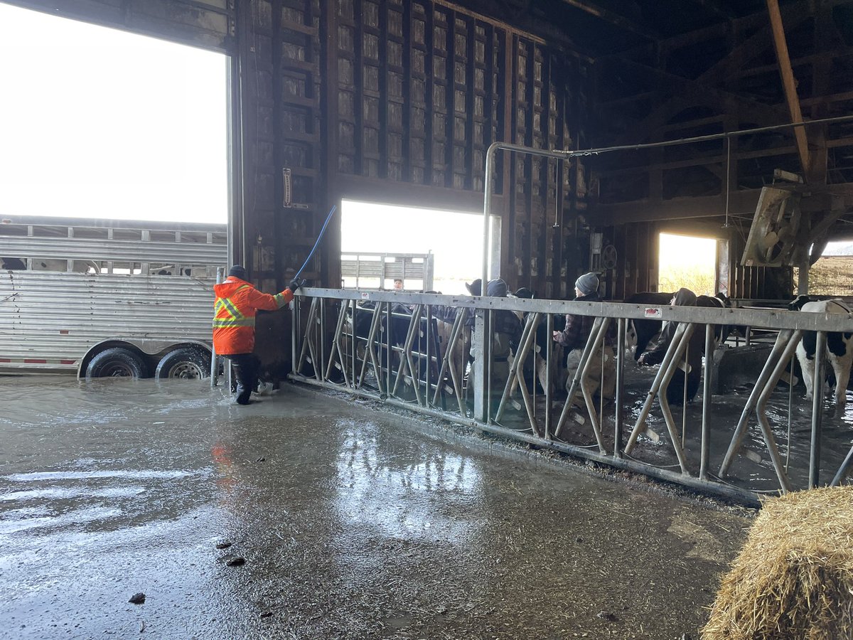 Richard Bosma tweet media